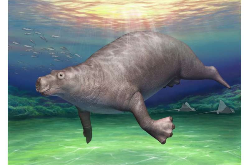 Nearly forgotten 'dinosaur' bone found to belong to ancient hippo-like creature