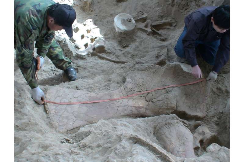 'Amazing Dragon' unearthed in China pushes back date of earliest sauropods in Asia