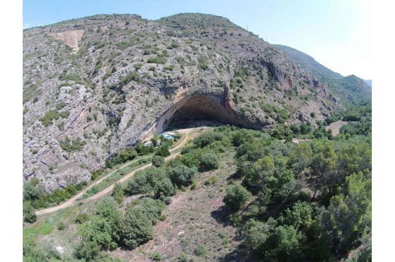 Montane pine forests reached the northeastern coast of the iberian peninsula 50,000 years ago
