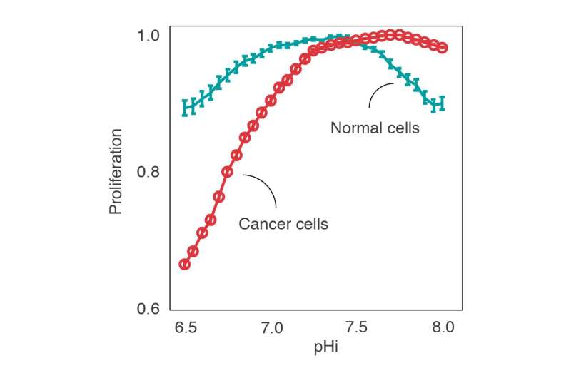 Acidic pH—the weakness of cancer cells