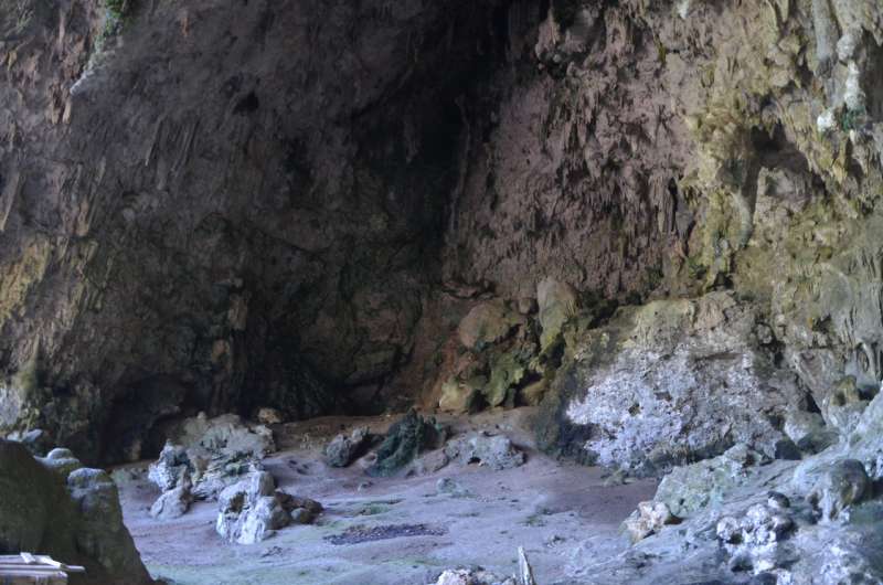 Modern Flores Island pygmies show no genetic link to extinct 'hobbits'