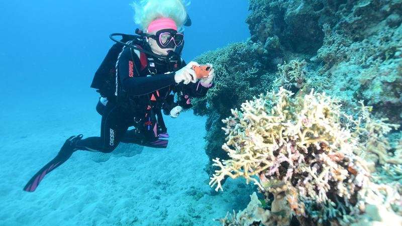 Citizen scientists dive into reef protection project