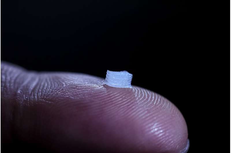 New 3D-printed device could help treat spinal cord injuries