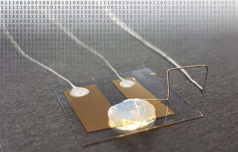 Smallest transistor worldwide switches current with a single atom in solid electrolyte
