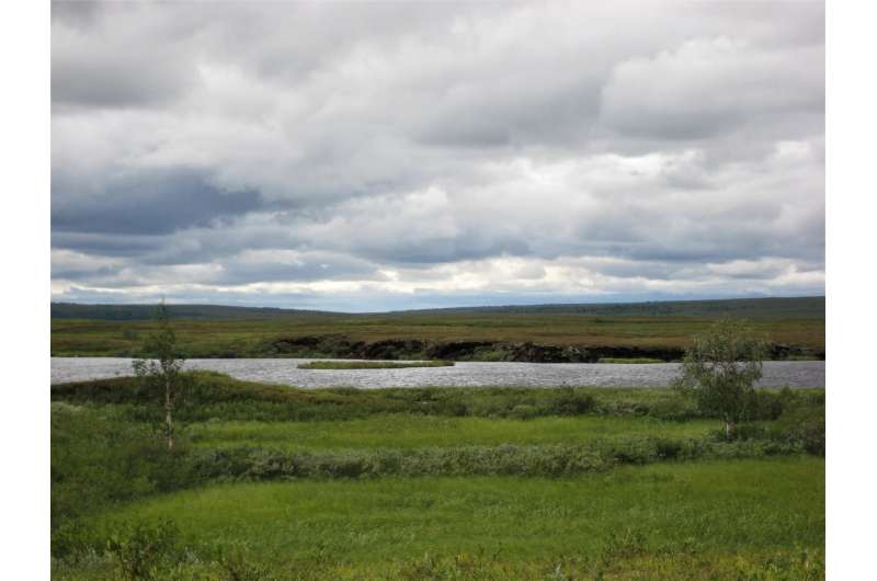 Wetlands are key for accurate greenhouse gas measurements in the Arctic