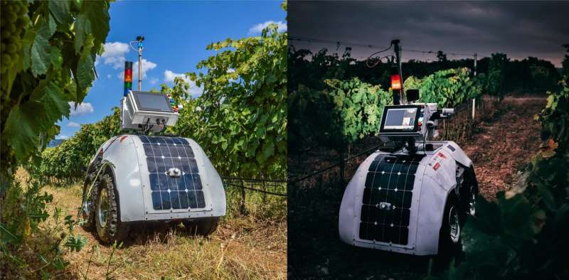 Robot created to monitor key wine vineyard parameters