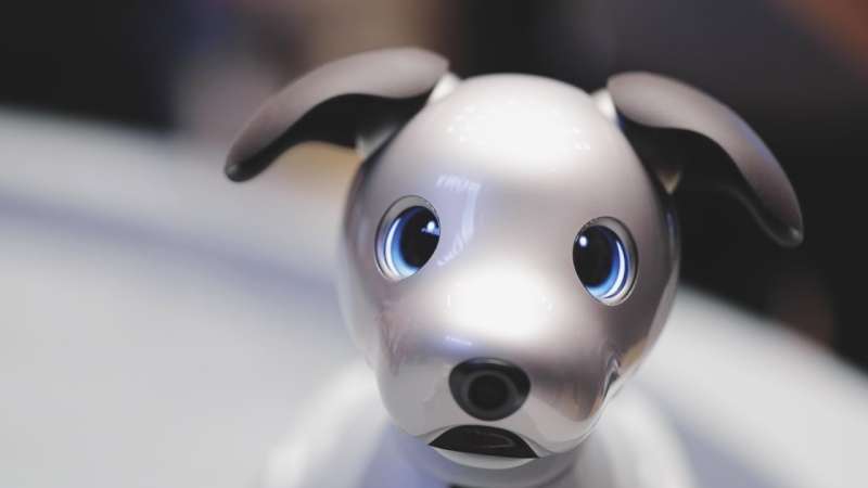 Sony's aibo robotic dog can sit, fetch and learn what its owner likes