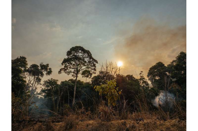 Carbon emissions from Amazonian forest fires up to four times worse than feared