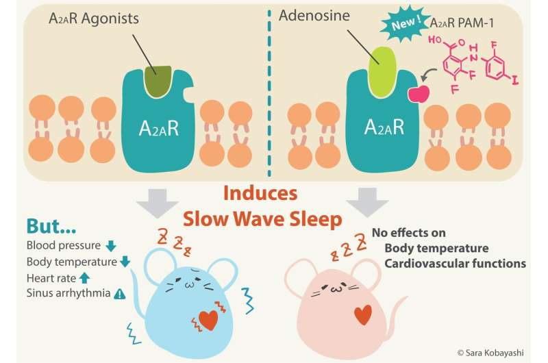 A new therapeutic avenue for treating insomnia