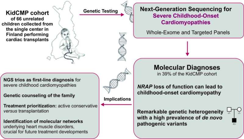 Genetic study clarifies the causes of the most severe heart muscle diseases of children
