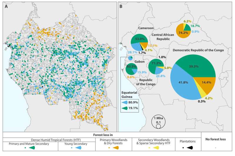 **Smallholder clearing found to be dominant reason for forest loss in the Congo Basin