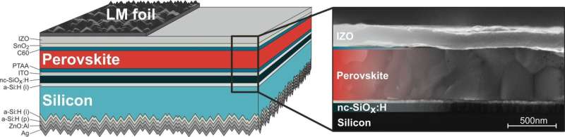 New records in perovskite-silicon tandem solar cells through improved light management