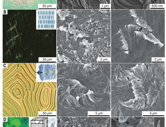 Nanofiber carpet could lead to new sticky or insulating surfaces