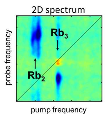 **Researchers apply 2-D spectroscopy to isolated molecular systems for the first time