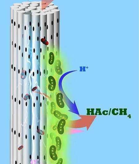 Helpful microbes inhale CO2 through a porous cylindrical electrode and exude useful chemicals