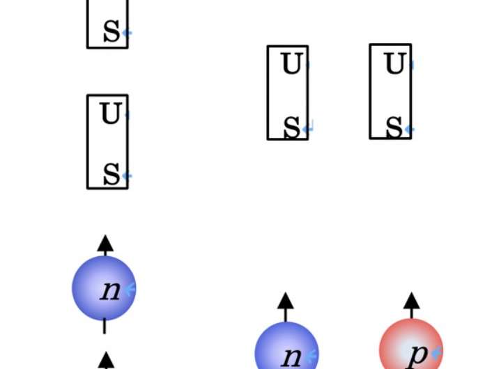 Proton scattering reveals the secrets of strongly-correlated proton-neutron pairs in atomic nuclei