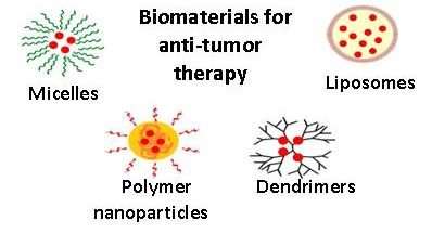 The potential of nanomaterials to activate the body's antitumor immune response investigated