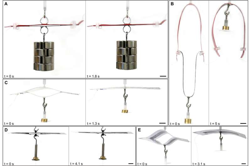 **Researchers find adding silicone oil enhances contracting force of self-zipping origami robots