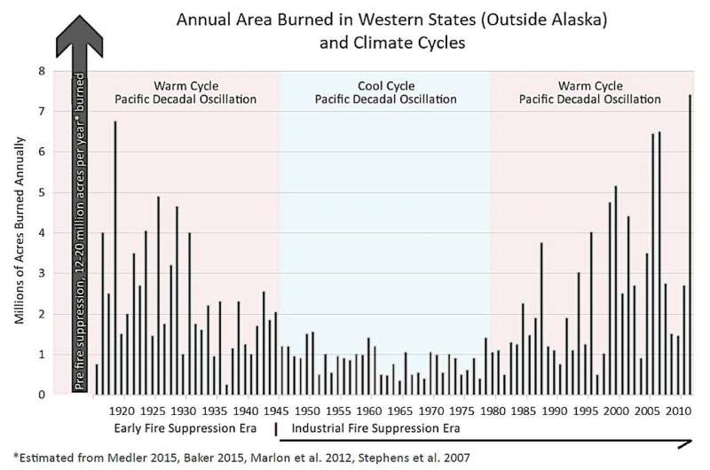 Everything You Wanted To Know About Wildland Forest Fires But Were Afraid To Ask