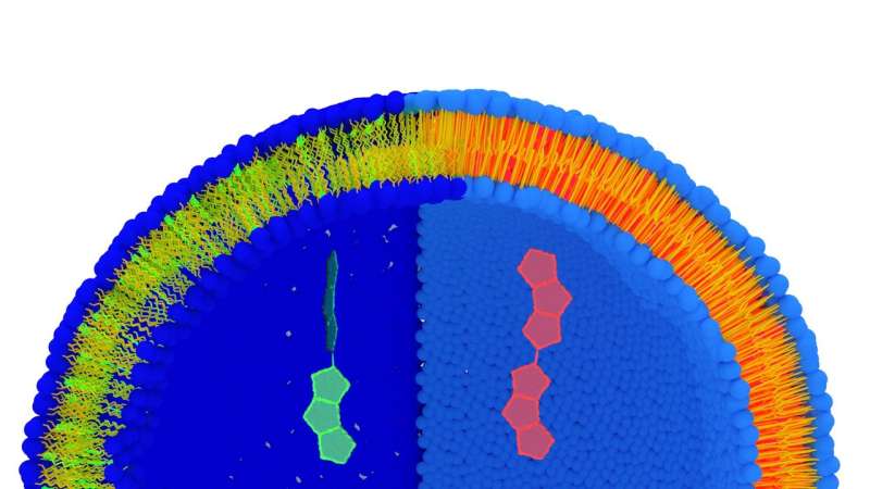 Measuring the tension of a cell with a molecule