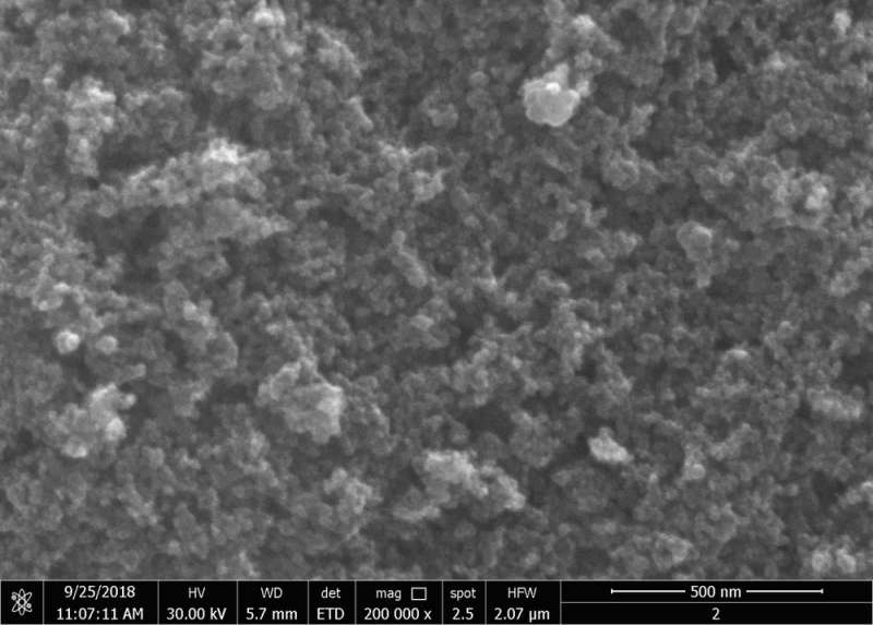 Modification of existing nitrile latex with magnetite nano particle
