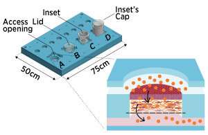 Reconstructingskin on a chip