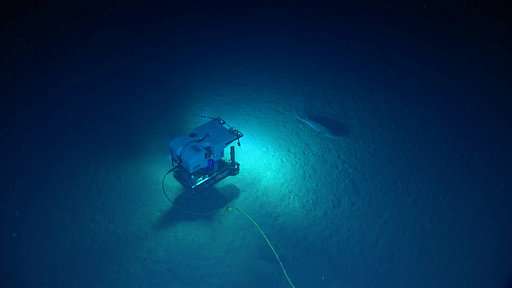Scientists wind up deep-water probes in Caribbean waters