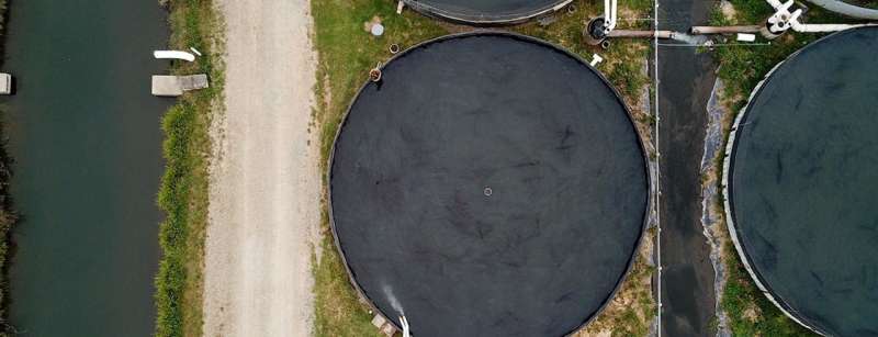 Closing the loop on sustainable aquaculture