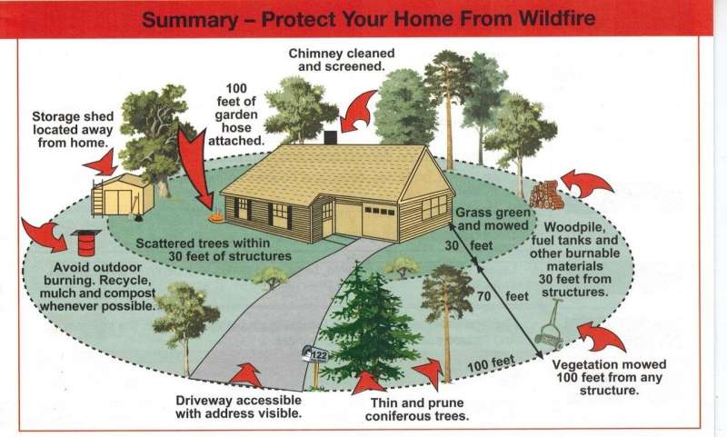 Everything You Wanted To Know About Wildland Forest Fires But Were Afraid To Ask