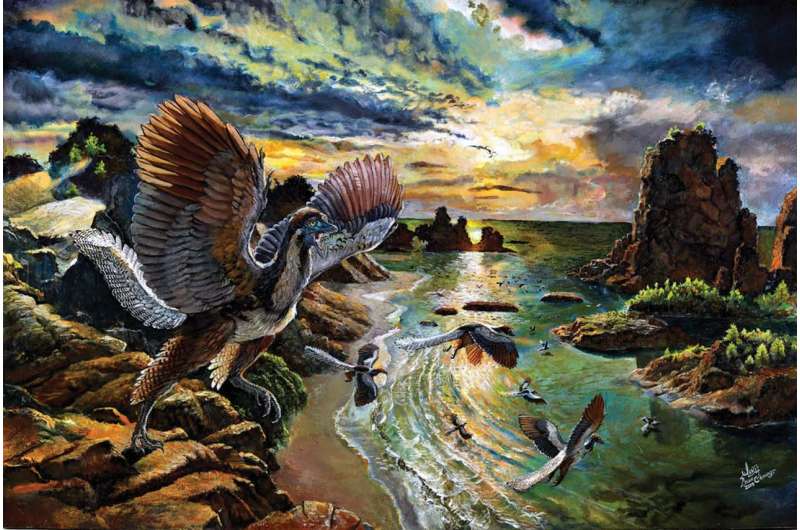 New species of the 'first bird' Archaeopteryx uncovered