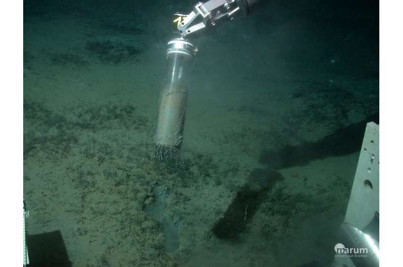 Observing the development of a deep-sea greenhouse gas filter