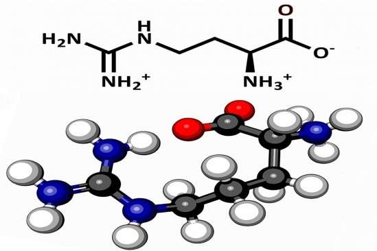 Researchers find that the amino acid arginine may have played a more important role in the chemical origins of life