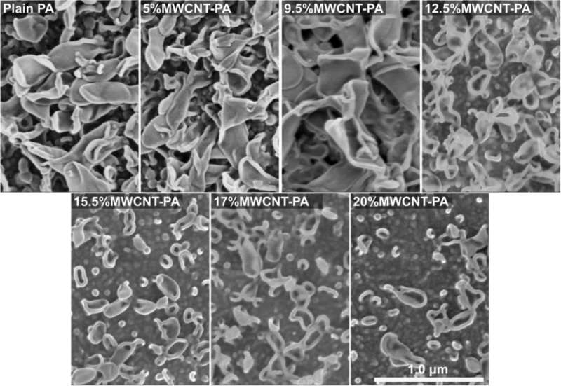 Scientists use carbon nanotube technology to develop robust water desalination membranes