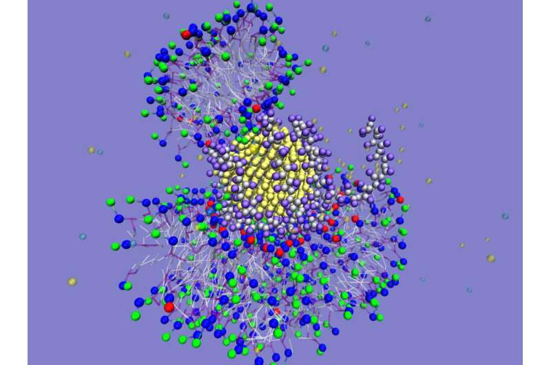 Study provides insight into how nanoparticles interact with biological systems