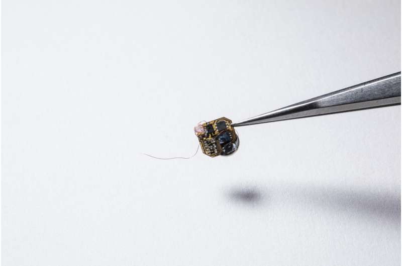 Researchers create first sensor package that can ride aboard bees