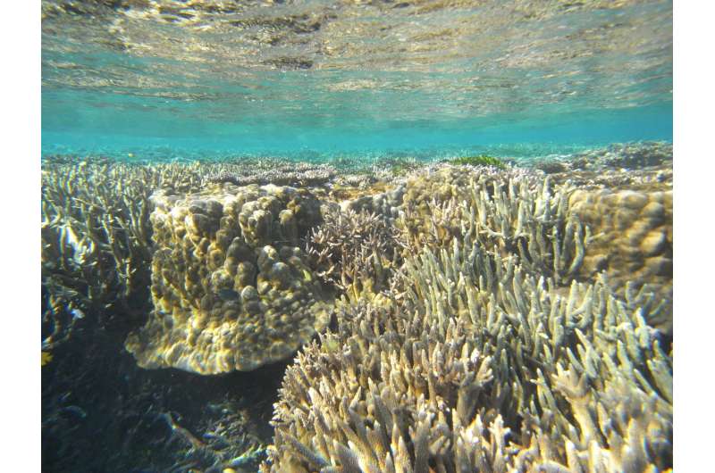Great Barrier Reef reveals rapid changes of ancient glaciers