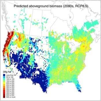 New research calculates capacity of North American forests to sequester carbon