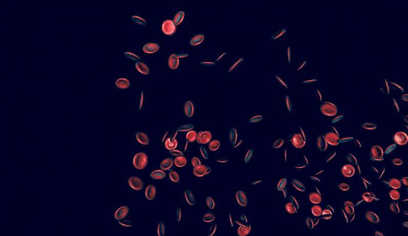 Breakthrough in understanding of how red blood cells develop