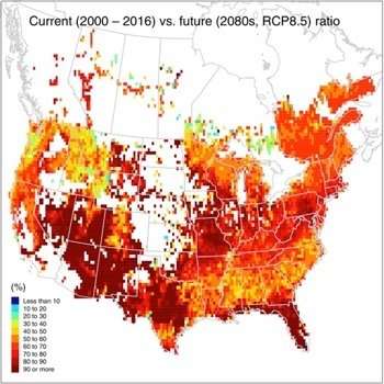 New research calculates capacity of North American forests to sequester carbon