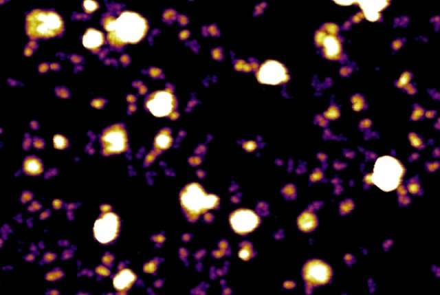 Scientists discover new nanoparticle, dubbed exomeres