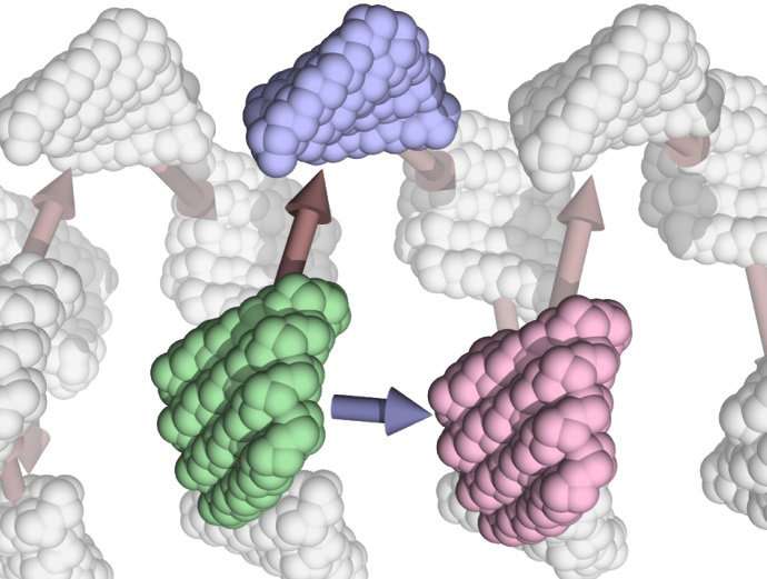 Self-assembling protein filaments designed and built from scratch