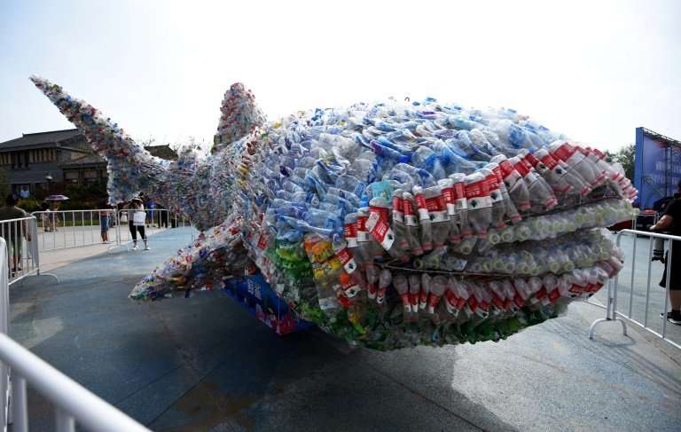 Social media stories of plastic pollution have increased awareness, and prompted action such as an installation depicting a shar