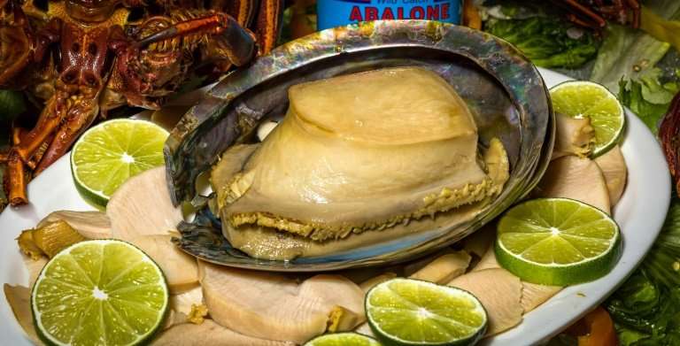 Abalone is prized in many Chinese cuisines causing rampant illegal poaching around the world