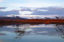 A better understanding of the high levels of mercury pollution in the Arctic tundra