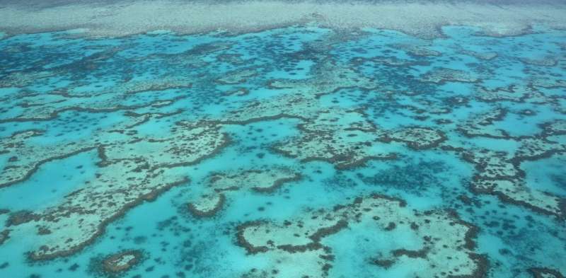 Acid oceans will dissolve coral reef sands within decades