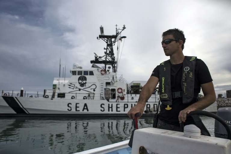 Activists from the US environmental group Sea Shepherd patrol the waters off San Felipe, in the Gulf of California, day and nigh