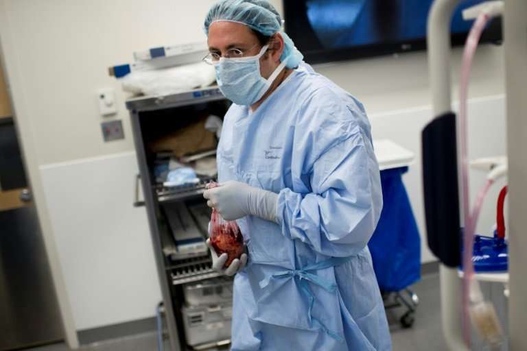 A doctor carries a transplant kidney during surgery at Johns Hopkins Hospital in Baltimore, Maryland.