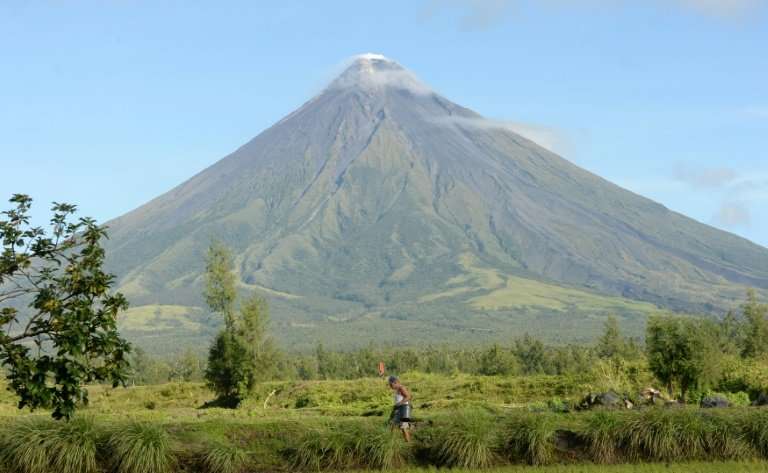 A farmer walks along a rice field near the foot of the Philippines' Mayon volcano in Legazpi City, Albay province, on December 1