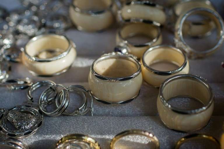 A fondness for rings and bracelets embedded with elephant hairs is fuelling a worrying fashion fad