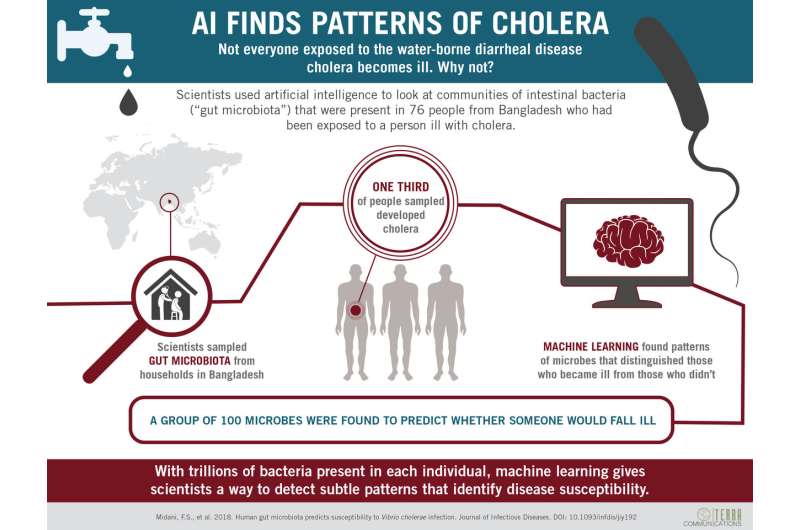 AI detects patterns of gut microbes for cholera risk